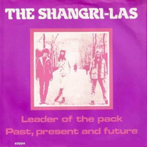 Shangri-Las - 30x300